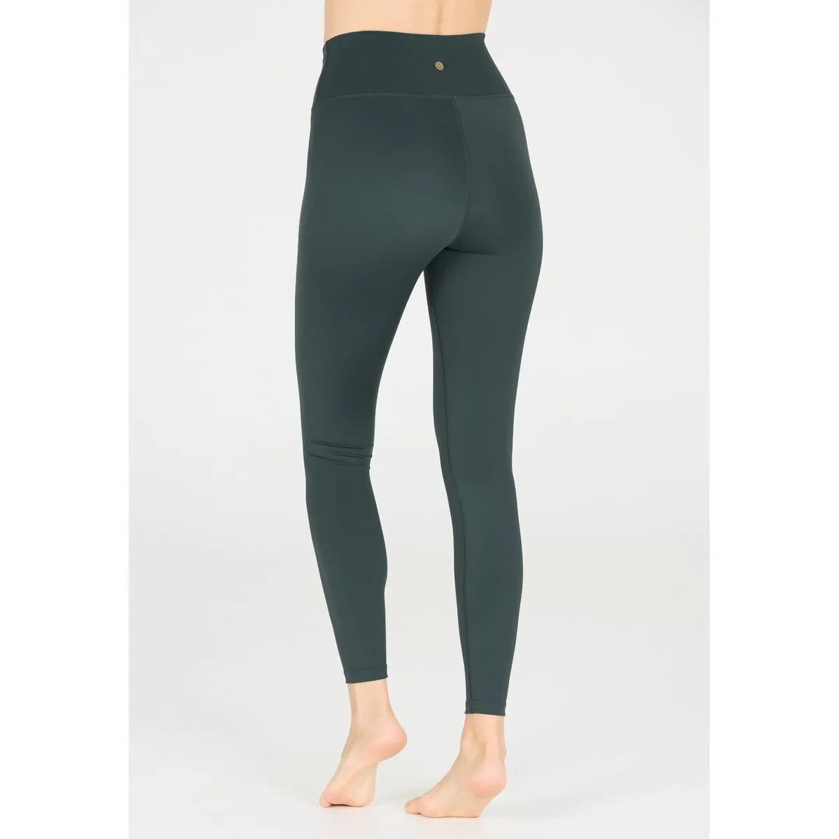 Franz W Tights - Magical Forest