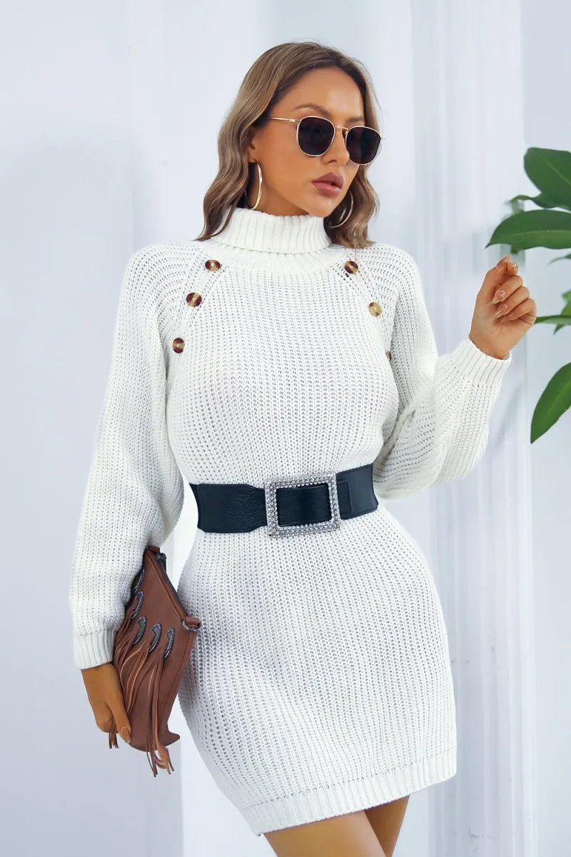 Frosty Bliss Mini Dress Turtleneck Sweater
