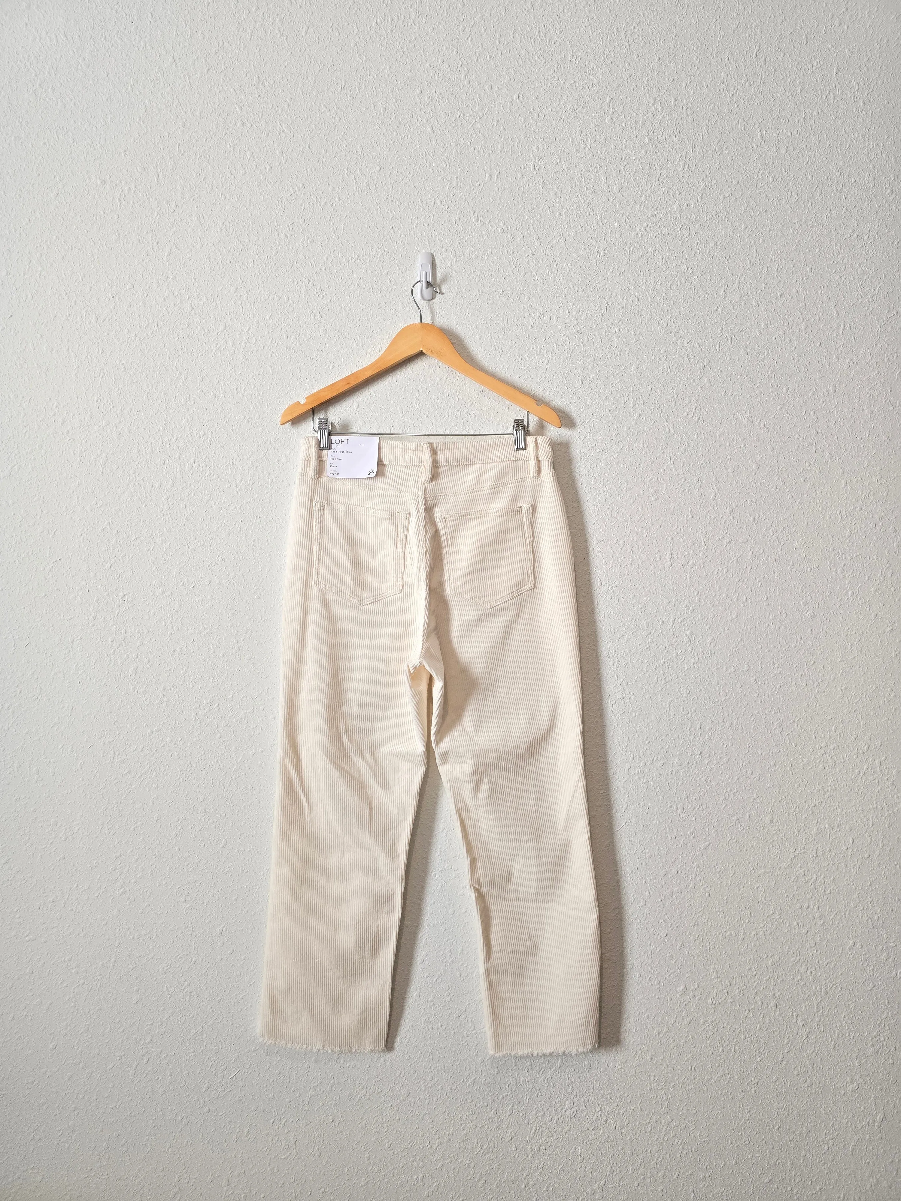 NEW Loft Cord Straight Pants (29/8)