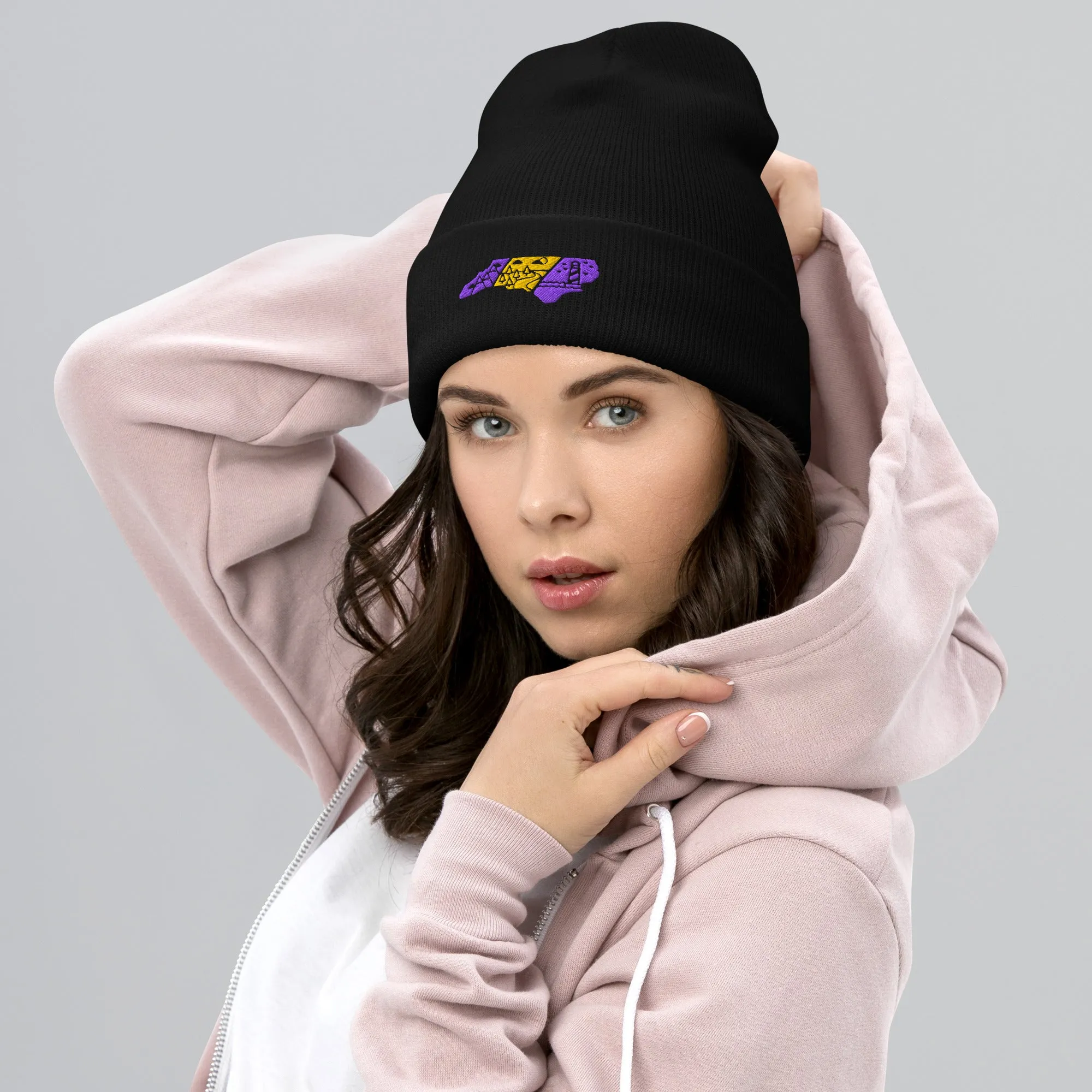 North Carolina 3 Regions Purple & Gold Cuffed Beanie