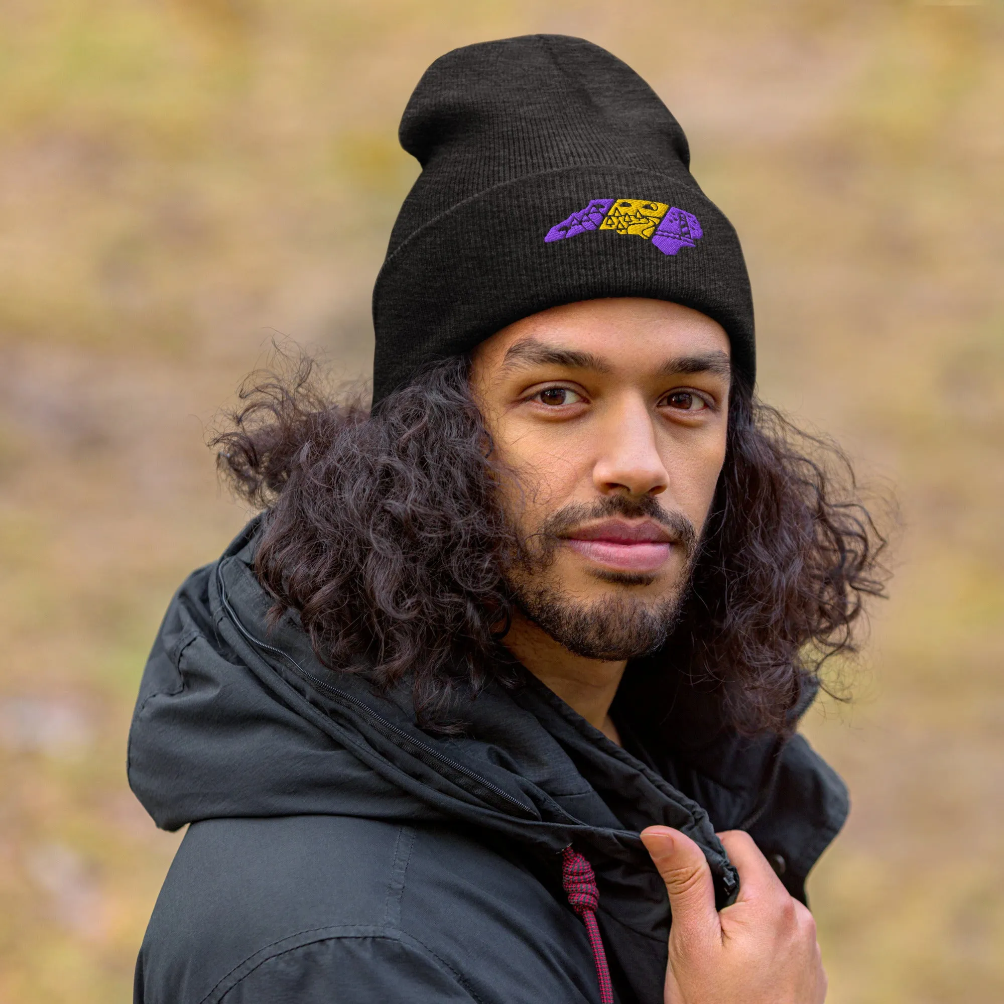 North Carolina 3 Regions Purple & Gold Cuffed Beanie
