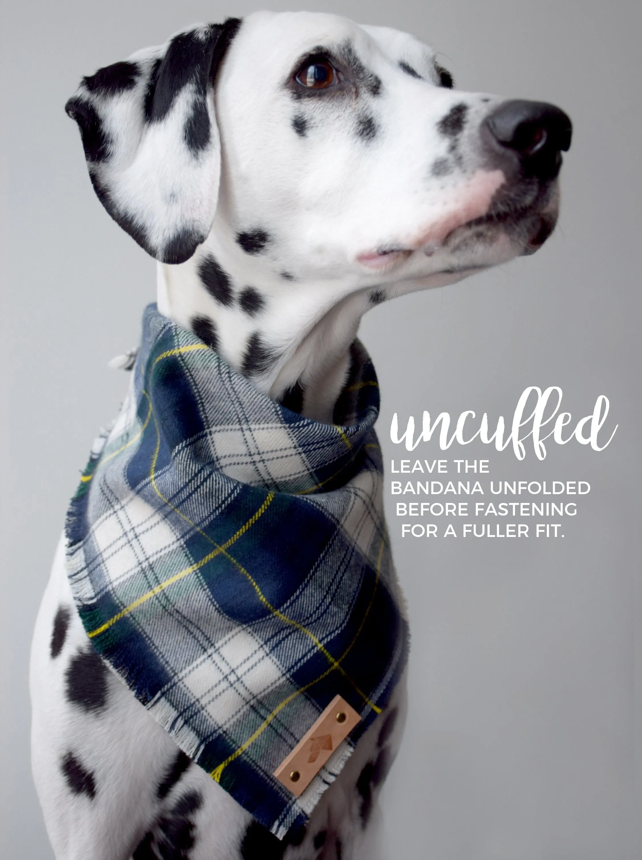 PEYTO Fringed Flannel Dog Bandana - Snap/Tie On Cotton Scarf