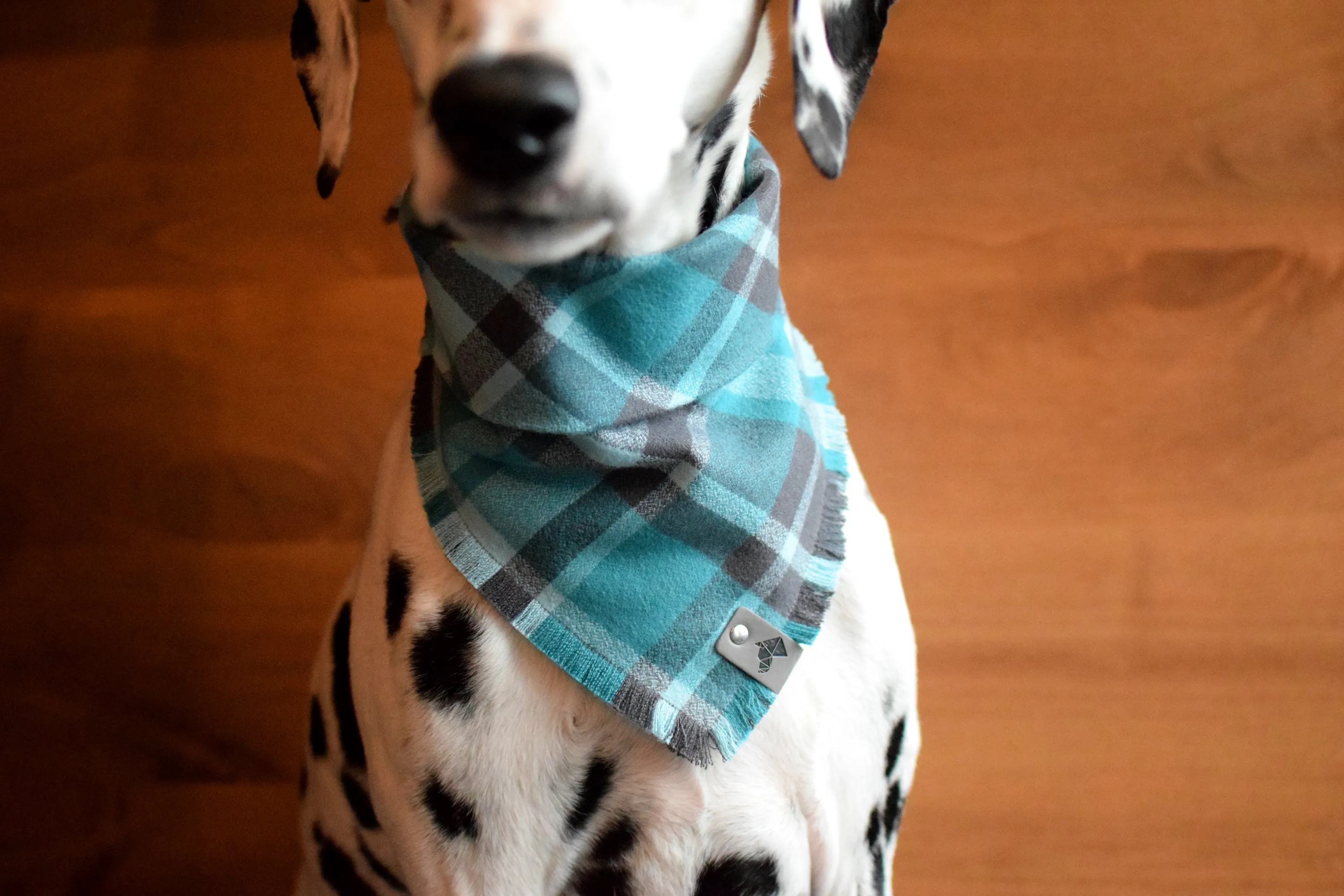 PEYTO Fringed Flannel Dog Bandana - Snap/Tie On Cotton Scarf