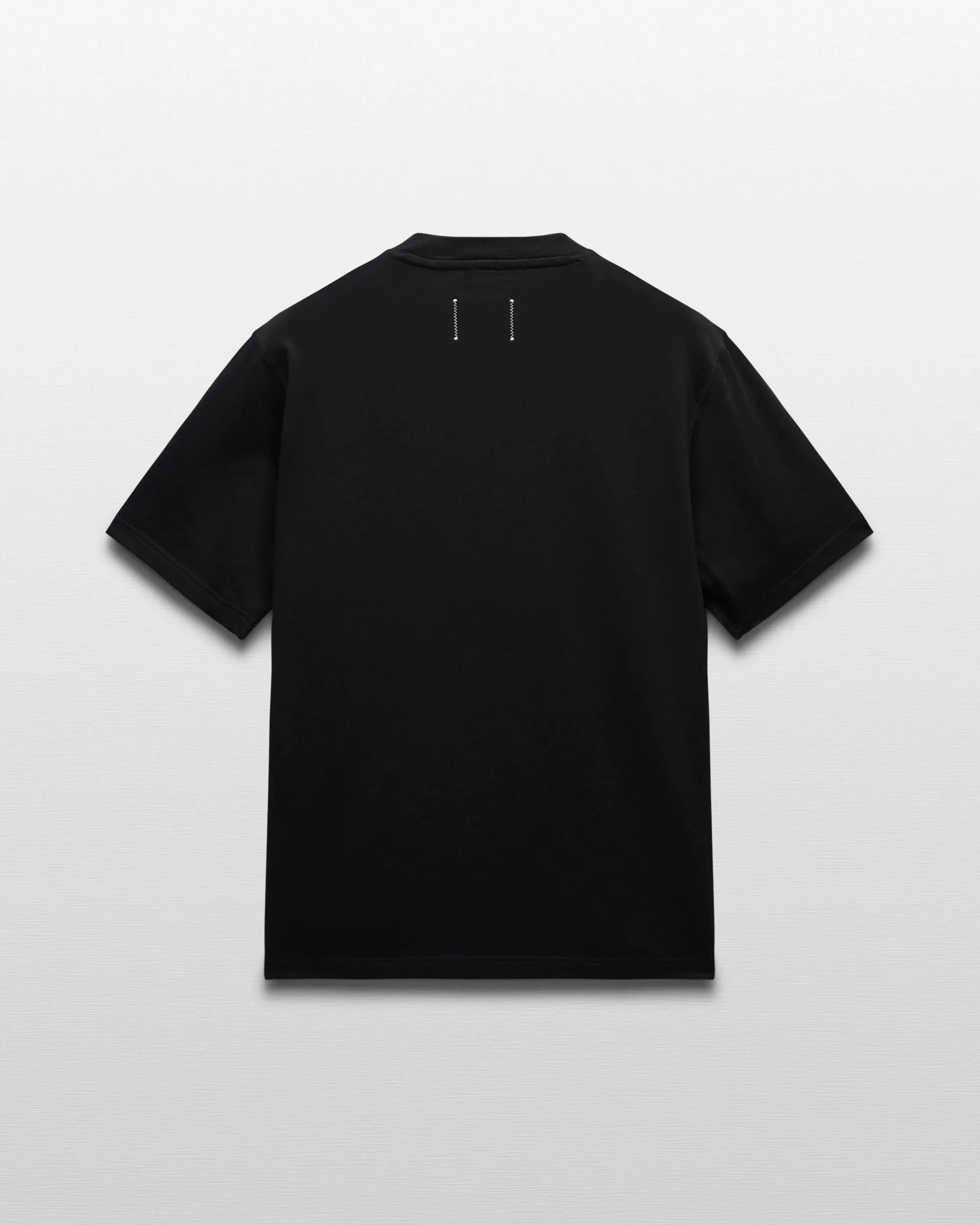 REIGNING CHAMP MIDWEIGHT JERSEY STANDARD T-SHIRT - 4 COLORS