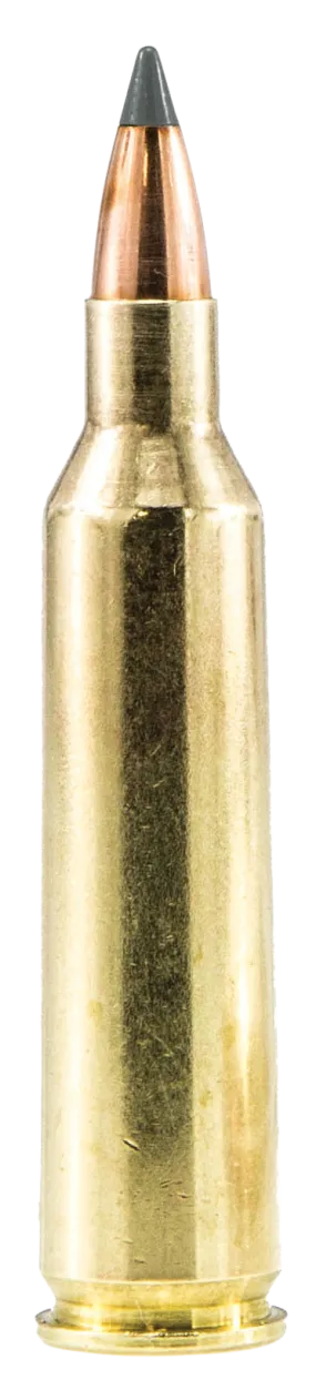 Sig Sauer E243V120 Hunting 243 Winchester 55 GR Tipped Hollow Point 20 Bx/ 10 Cs