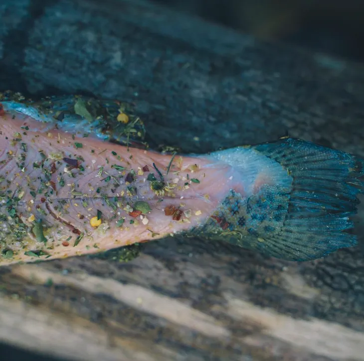 Wild Fire Seasonings And Rubs - Seafood & River Fish